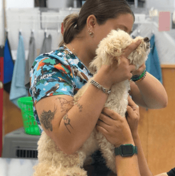 Vet examining a dog held by a lady