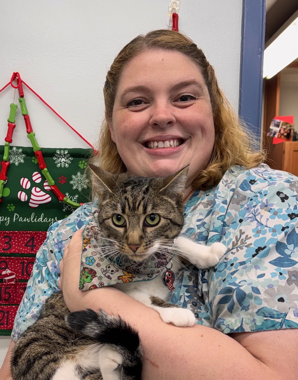 Hospital services and pets images