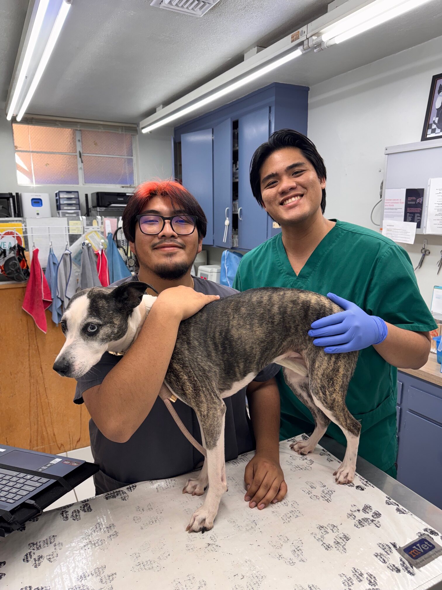Lady holding a cat in hand
