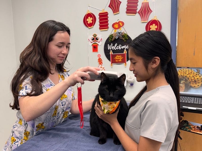 Miranda and David microchipping dog Ruby