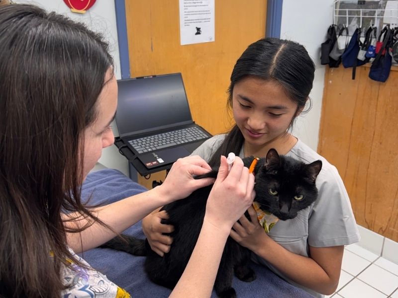 David and Miranda vaccinating a dog
