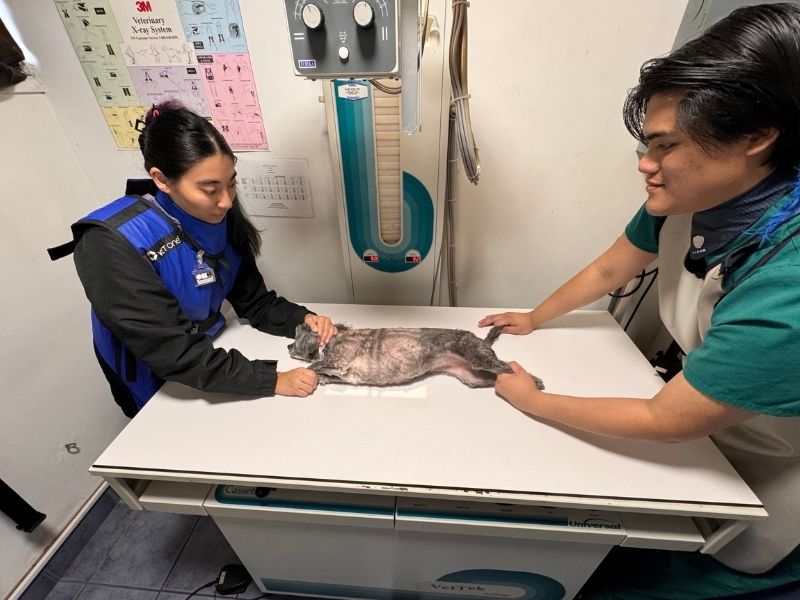 Elena and David in x-ray room with cat